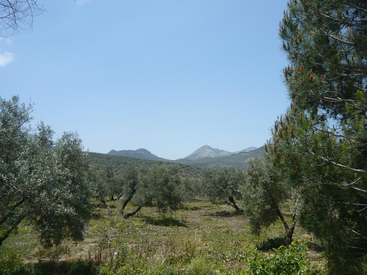 Venta Las Delicias Villanueva del Rosario Buitenkant foto